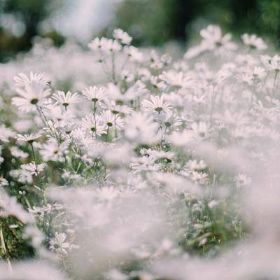 开元娱乐游戏官版正版下载